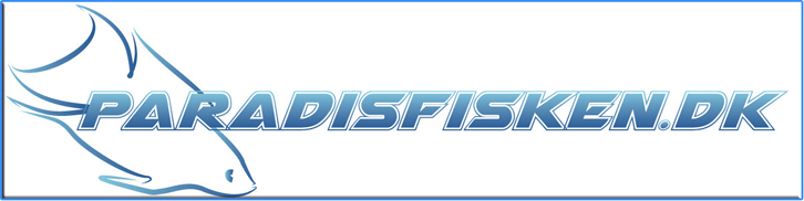 Paradisfisken